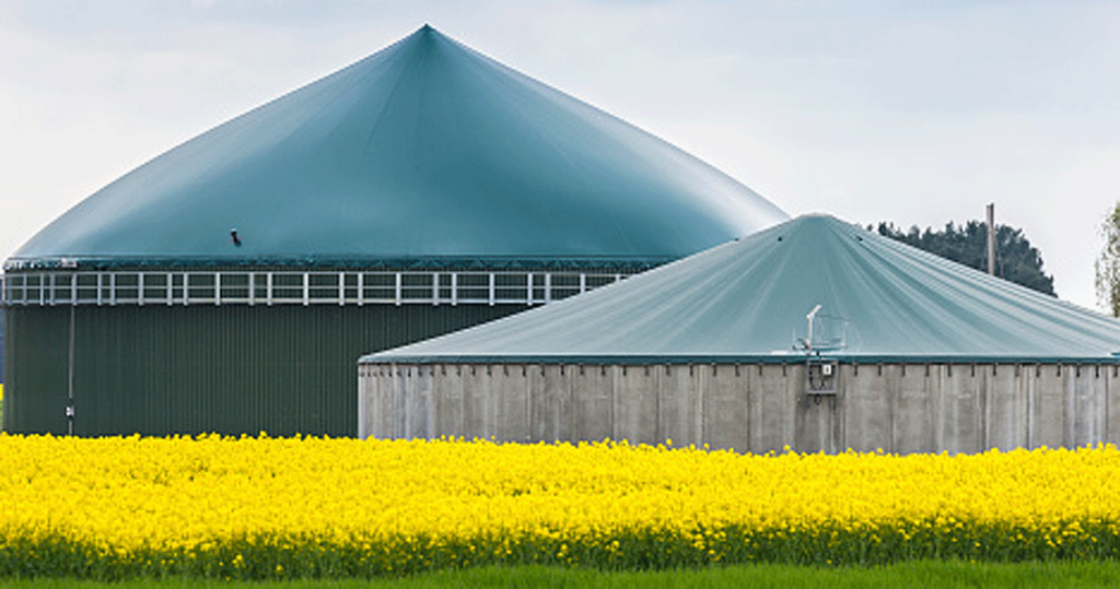 planta de biogas